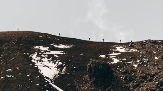 Fotó: Tyler Lastovich, Forrás: Pexels