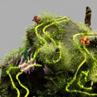 Fotó: Google DeepMind, Forrás: Pexels