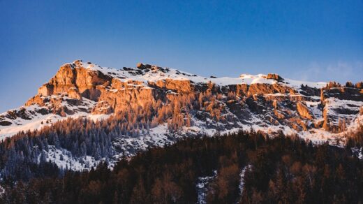 Fotó: Artem Lysenko, Forrás: Pexels